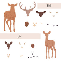 Lovely Layers: Deer - Honey Cuts Die