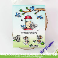 Backyard Bird Feeder - Clear Stamp