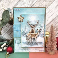The Little Book of A Winter Wonderland