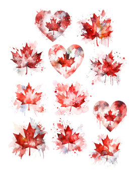 Canadian Poppies Foliage Ephemera