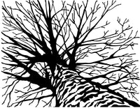 A Tree's Perspective (12pk) - Fabulous Foiling Toner A2 Card Fronts