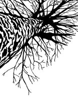 A Tree's Perspective (12pk) - Fabulous Foiling Toner A2 Card Fronts