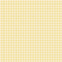 Pastel Gingham - Echo Park 6x6 Paper Pad