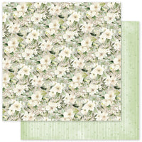 Little Koala Adventures Basics 6x6 Paper Collection 36667