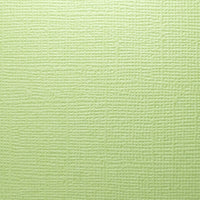 Aloe Vera - 12X12 12X12 Whole Spectrum "Canvas" Series Textured Cardstock (25 Sheets)