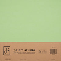 Aloe Vera - 12X12 12X12 Whole Spectrum "Canvas" Series Textured Cardstock (25 Sheets)