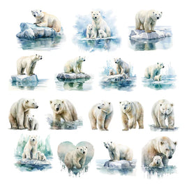 Polar Plunge Ephemera