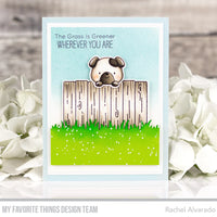 Peeking Pals - Clear Stamp