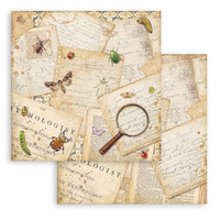 All Around - Stamperia Scrapbooking Double-Sided Paper Pad 12"x12" 10/Pkg