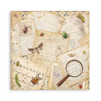 All Around - Stamperia Single-Sided Paper Pad 12"x12" 22/Pkg