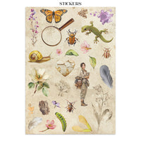 All Around - Stamperia Junk Journal Stickers, Cut-outs & Backgrounds