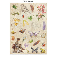 All Around - Stamperia Junk Journal Stickers, Cut-outs & Backgrounds