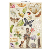 All Around - Stamperia Junk Journal Stickers, Cut-outs & Backgrounds
