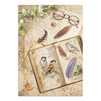 All Around - Stamperia Junk Journal Stickers, Cut-outs & Backgrounds
