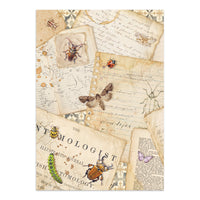 All Around - Stamperia Junk Journal Stickers, Cut-outs & Backgrounds