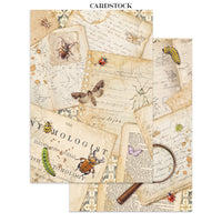 All Around - Stamperia Junk Journal Stickers, Cut-outs & Backgrounds