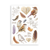 All Around - Stamperia A5 Washi Pad