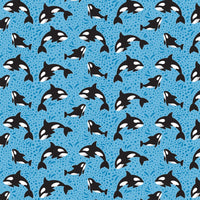 Sea Life - Echo Park Collection Kit