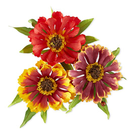Helenium and Ladybugs - Die