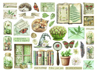 Herbarium Silvae - Stamperia Die Cuts