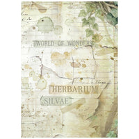 Herbarium Silvae - Stamperia Rice Paper Backgrounds A6 8/Pkg