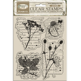Herbarium Silvae Botanic - Stamperia Clear Stamp