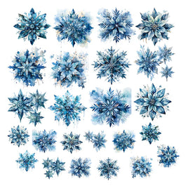Polar Plunge Snowflake Ephemera