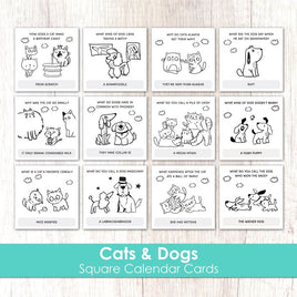 Cats & Dogs - Square Calendar Cards