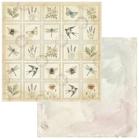 The Quiet Observer - 12 x12 Collection Pack