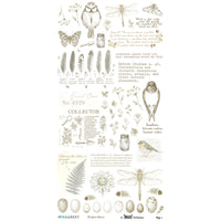 The Quiet Observer 6 x12 Essential Rub-on Transfer Set