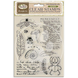 All Around - Stamperia Clear Stamp