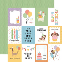 Party Animal -Echo Park Collection Kit 12"X12"