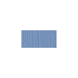 Stonewash Bazzill Mono Cardstock 12"X12"