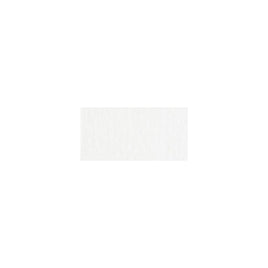 Bazzill Classic Cardstock 12"X12"- Orange Peel style  White/Orange Peel