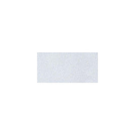 Frosted Crystal - Ranger Embossing Powder