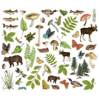 Simple Vintage Lakeside Bits & Pieces Die-Cuts 52/Pkg    Nature