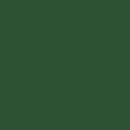 Dark Olive Bazzill Smoothies Cardstock 12"X12"