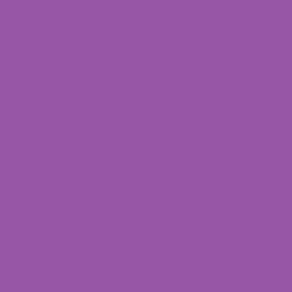 Hyacinth Bazzill Smoothies Cardstock 12"X12"