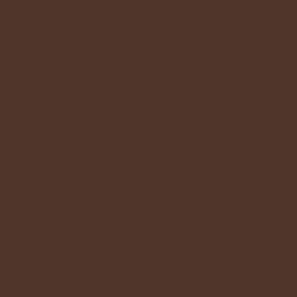 Burnt Umber Bazzill Smoothies Cardstock 12"X12"