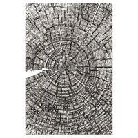 Tree Rings  Sizzix 3D Texture Fades Embossing Folder By Tim Holtz