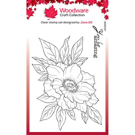 Singles Anemone  Woodware Clear Stamp 4"X6" by Creative Expressions