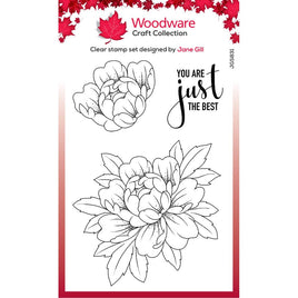 Singles Just The Best  Woodware Clear Stamp 4"X6" by Creative Expressions