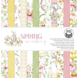 Spring Is Calling - P13 Double-Sided Paper Pad 12"X12" 12/Pkg