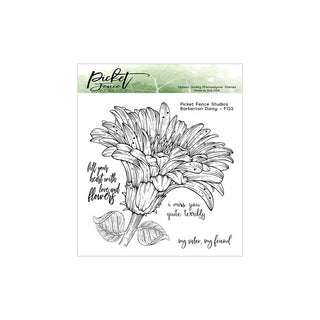 Barberton Daisy - Picket Fence Studios 6