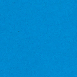 Blue Raspberry Bazzill Smoothies 8.5X11 (80lbs)