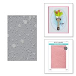 Spellbinders Embossing Folder-Celebrate You Splatter