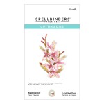 Spellbinders Etched Dies By Susan Tierney-Cockburn-Beeblossom -Through The Garden