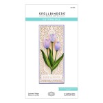 Spellbinders Etched Dies By Becca Feeken-Tulips -Layered Fleur Bouquet
