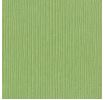 Bazzill Fourz Cardstock 12"X12"
