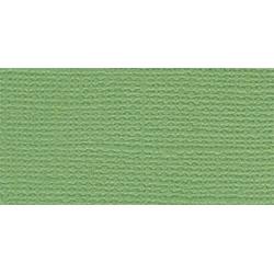 Guacamole Bazzill Fourz Cardstock 12"X12"